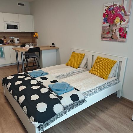 Comfort Flat With Great Location プラハ エクステリア 写真